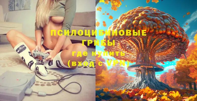 Галлюциногенные грибы Psilocybe  Поворино 